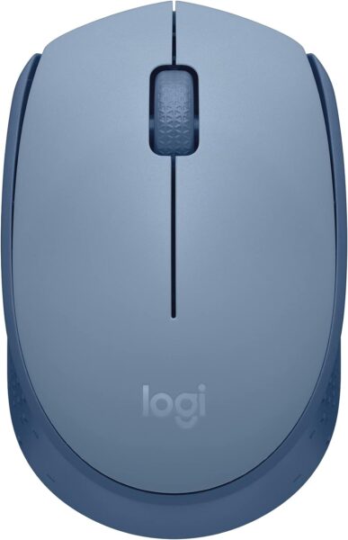 Logitech M170 Wireless Mouse (Blue Gray)